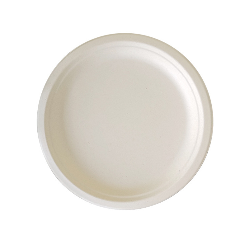 Disposable plain white paper plates