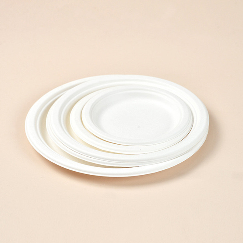 Disposable plain white paper plates