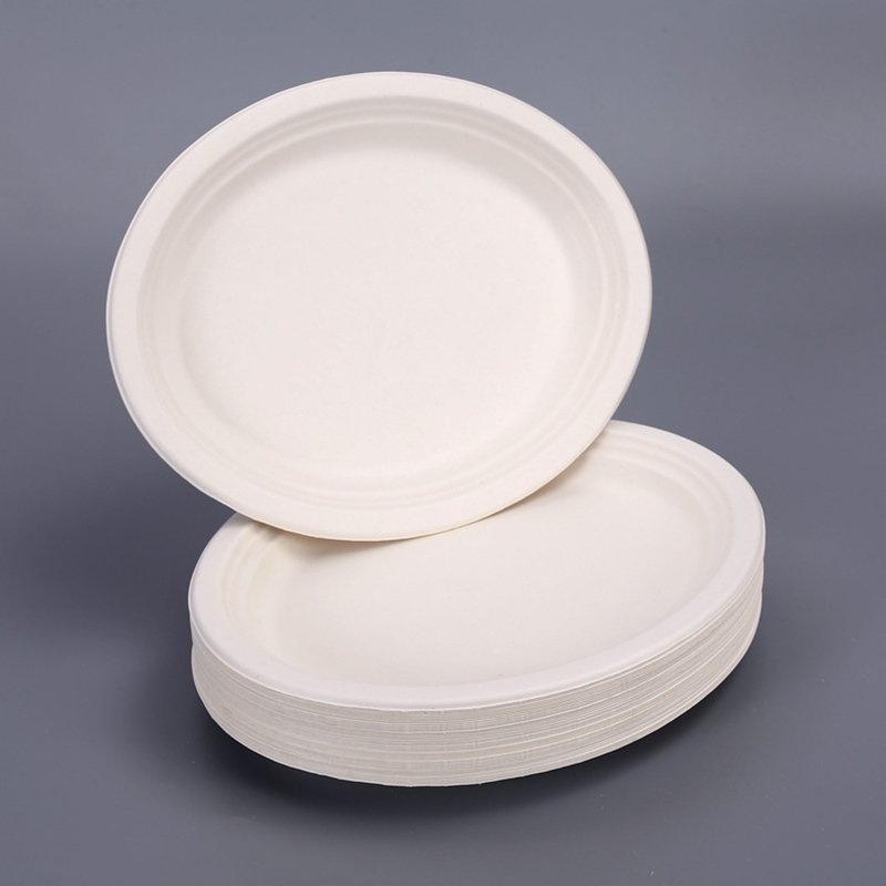 Disposable plain white paper plates
